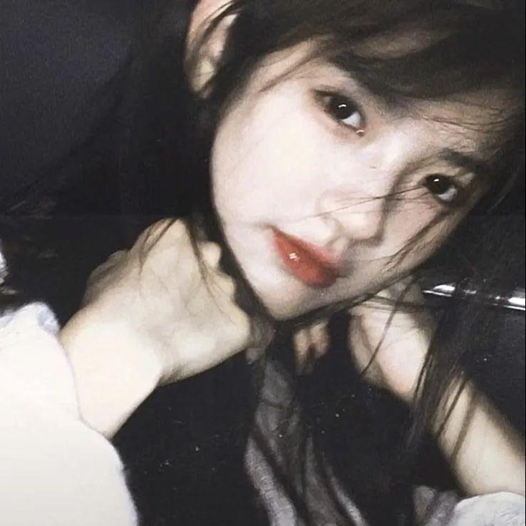 淑女鸟 在线观看